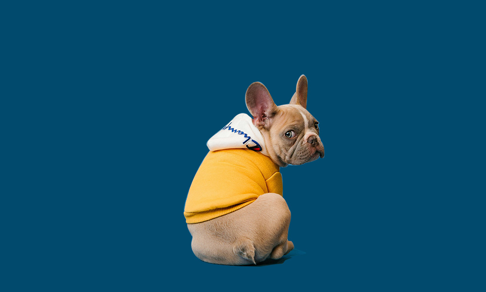 A Forever Companion: Honoring My Beloved Cat with a Leather Keychain - PawPaw-Pet