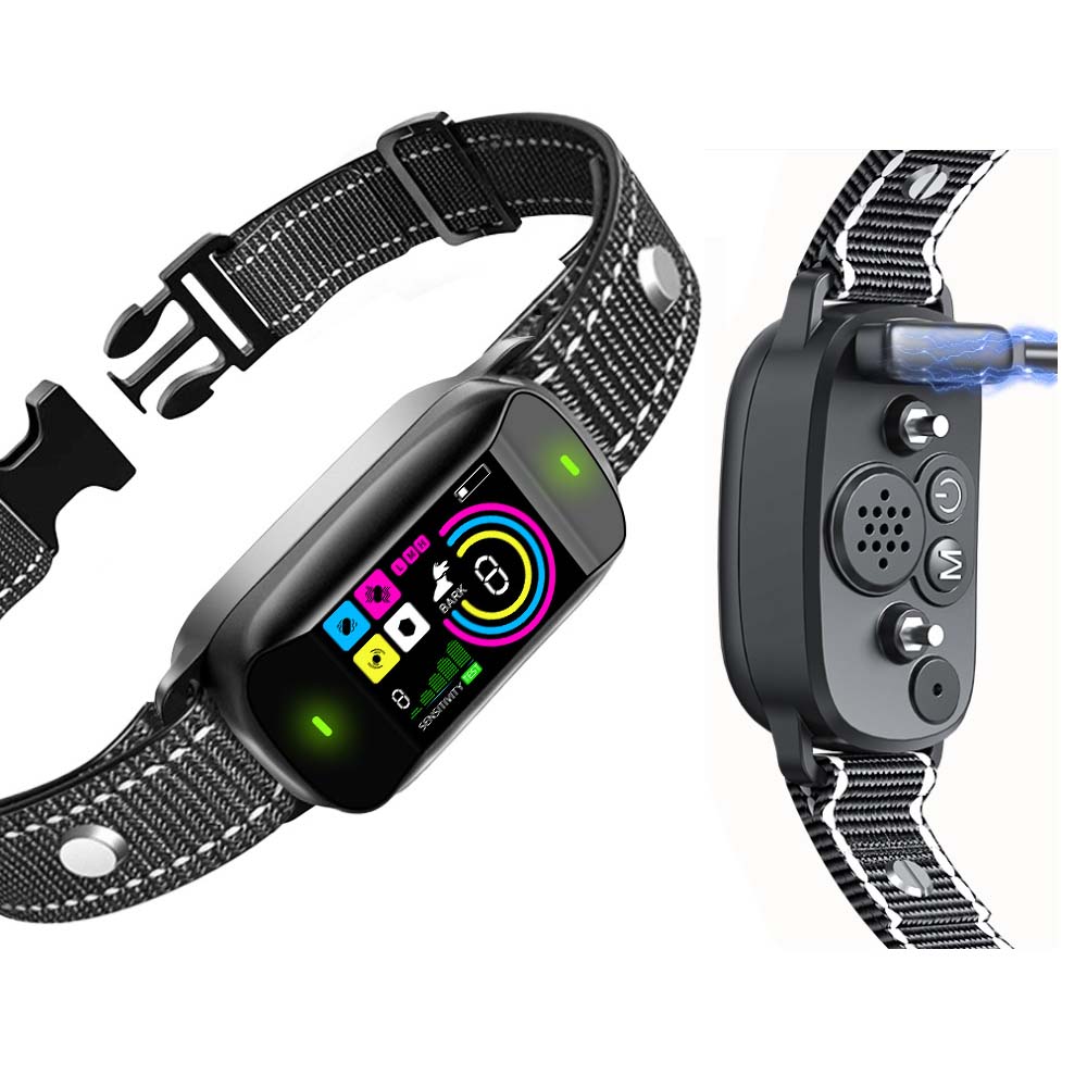 5 Bark Collar Red Flags (And How We Solved Them) - PawPaw-Pet