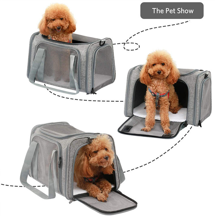 Airline Pet Carrier for Cats & Small Dogs – Collapsible Soft-Sided Travel Bag (Up to 15 lbs) - PawPaw-Pet