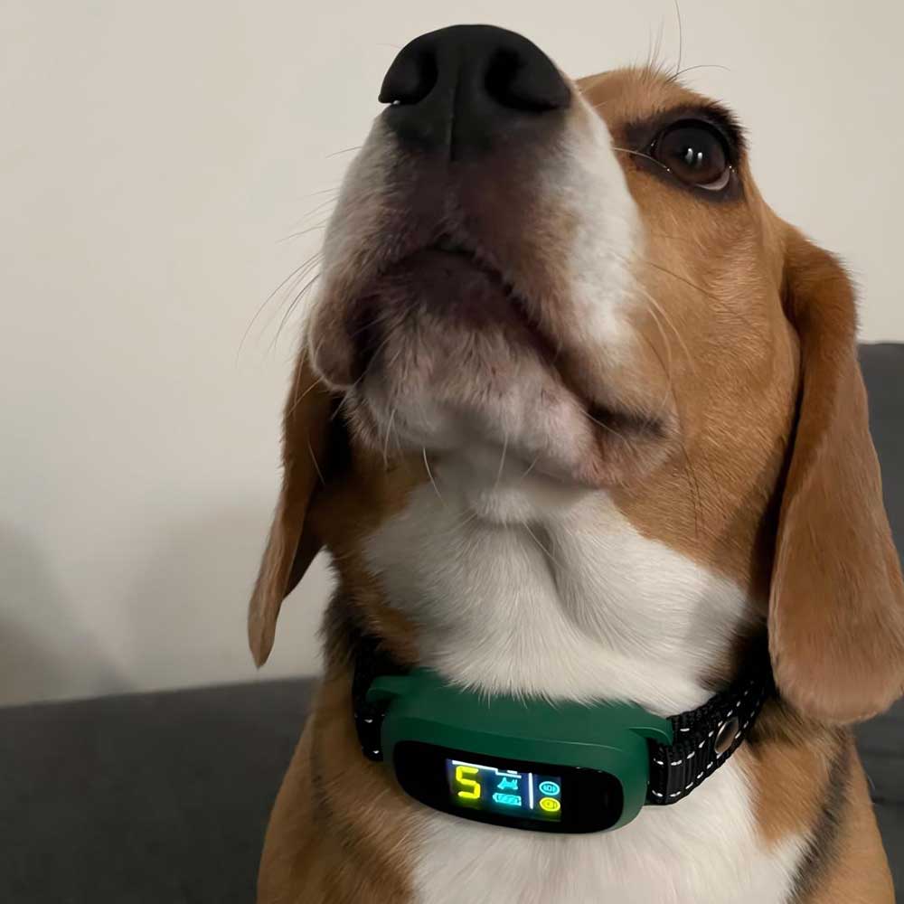 PB30 Dog Bark Collar for Large Medium Small Dogs, Rechargeable Smart Bark Collar, Anti Barking Training Collar with 5 Adjustable Sensitivity Beep Vibration (Black) - PawPaw-Pet