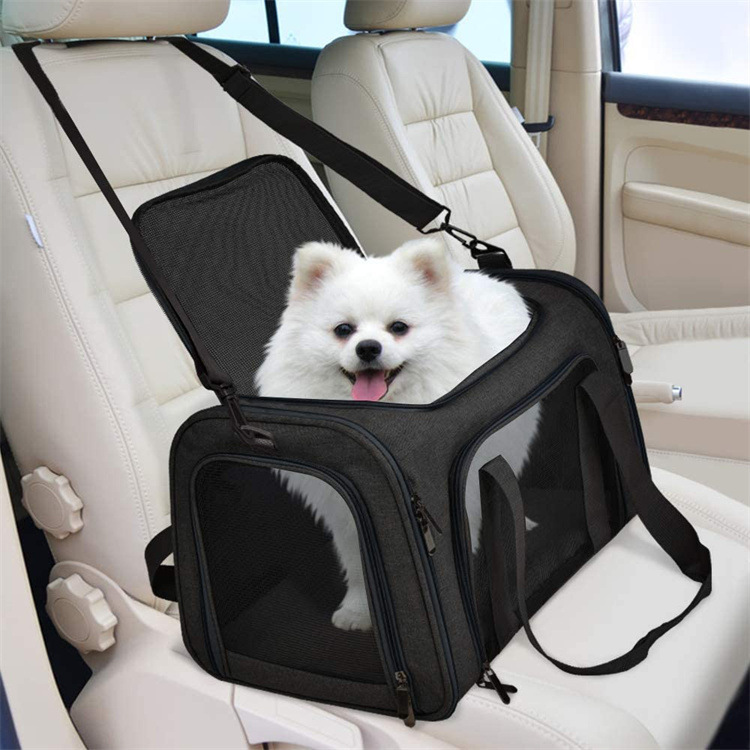 Airline Pet Carrier for Cats & Small Dogs – Collapsible Soft-Sided Travel Bag (Up to 15 lbs) - PawPaw-Pet